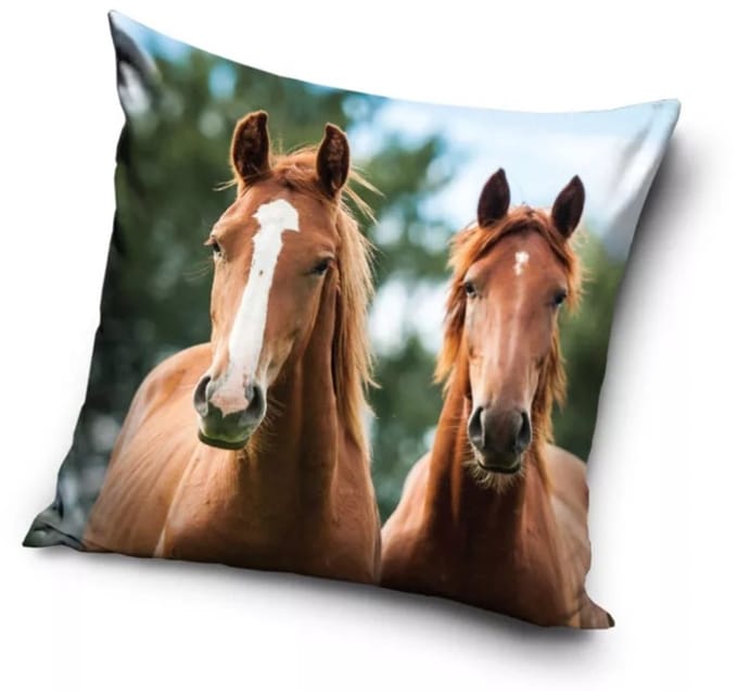 Horses Harmony kussenhoes 40x40 cm