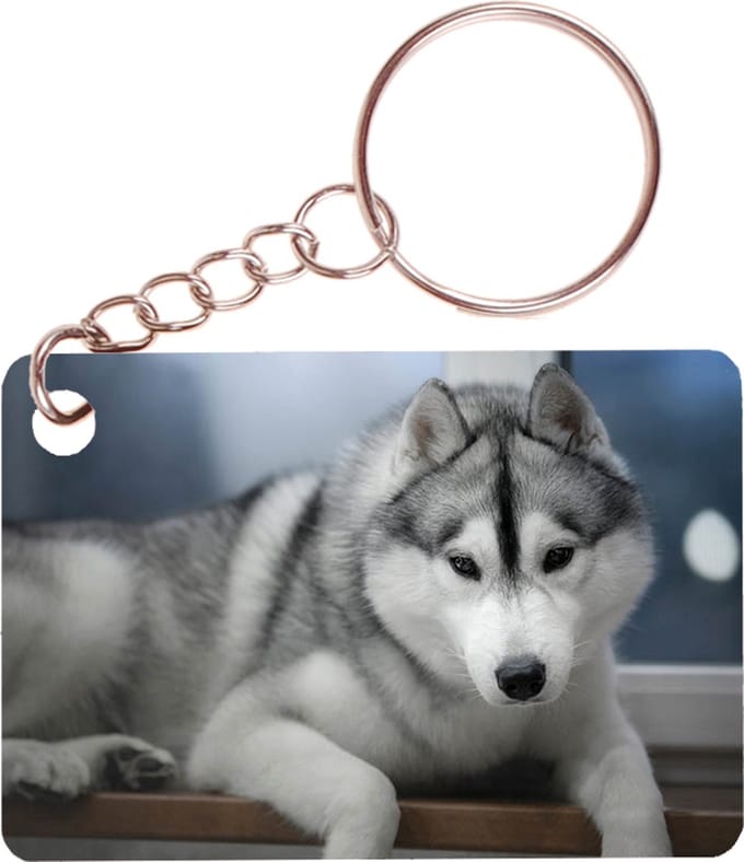 Sleutelhanger 6x4cm - Husky Liggend