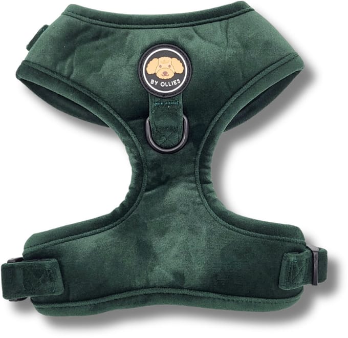 By Ollies Hondentuig - Velvet Dark Green - Maat M