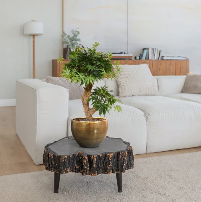 Acer Bonsai kunstboom 60cm - groen