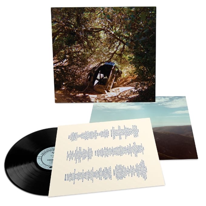 Possession - Ty Segall