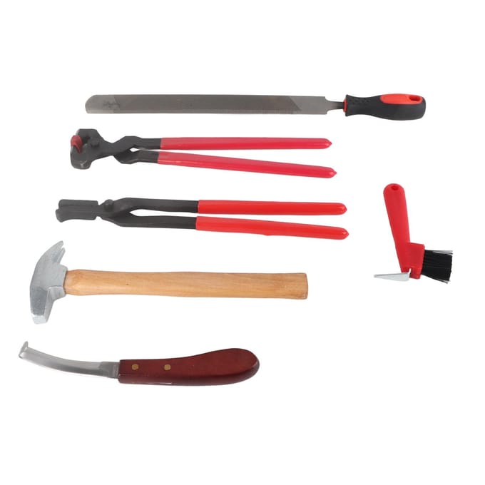 6-delige Set Professionele Hoefsmid Hoef Trim Gereedschap Nagel Hoefijzer Tang Trim Gereedschap gray