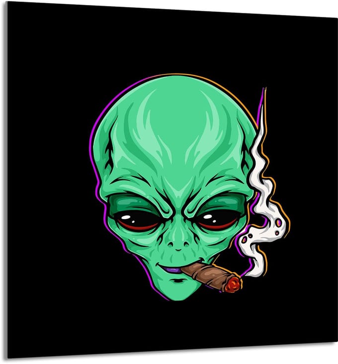 TMK ArtDeko - Glazen Paneel - Snijplank - 60x65cm - Ufo Design