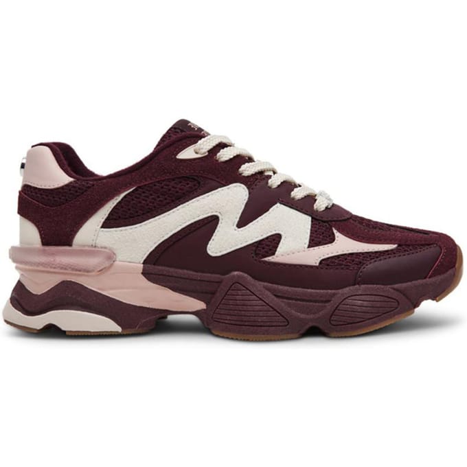 Steve Madden Speeder Sneakers - Dames - Bordeaux - Maat 40