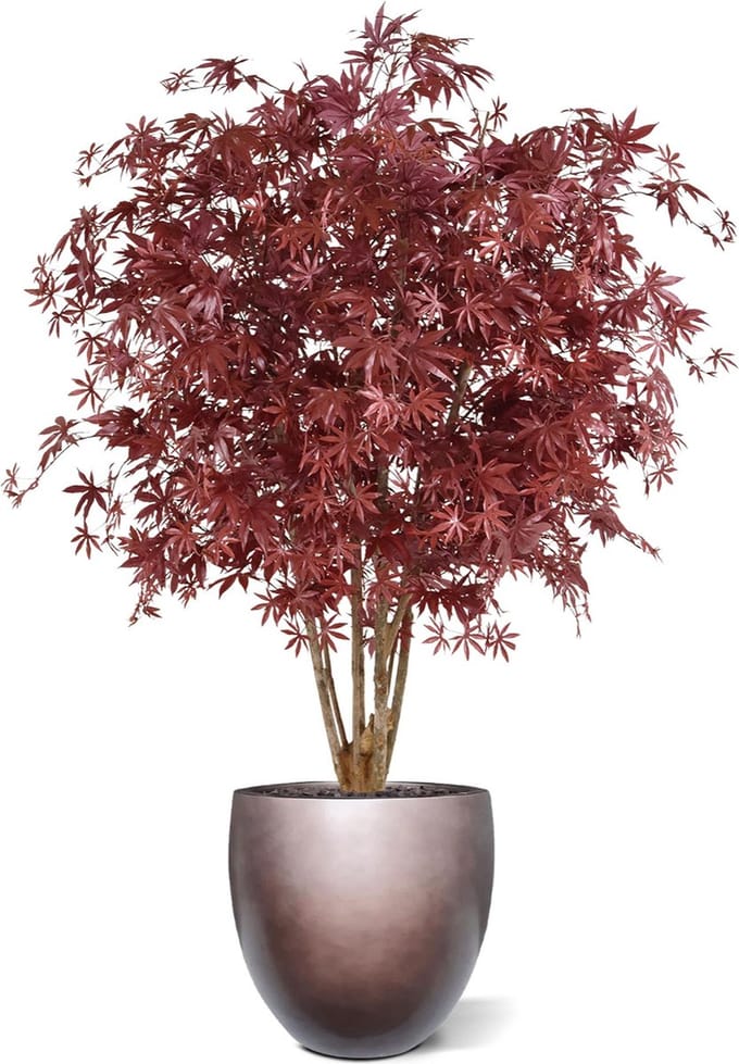 Acer Maple deluxe kunstboom 165cm - burgundy