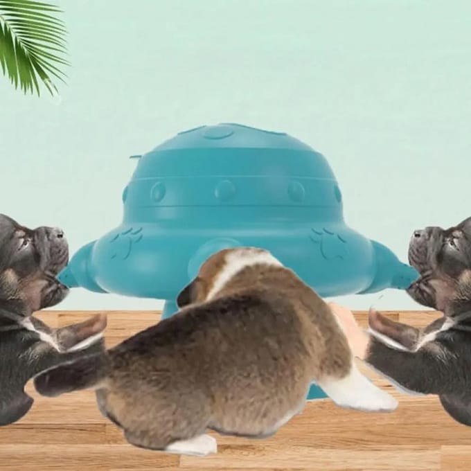 Biberon en silicone souple pour bébé et animal de compagnie, accessoire créatif pour chaton, lapin, chiot, chat bleu