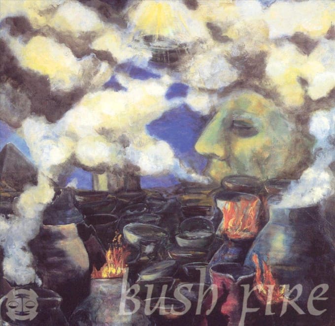 Bush Fire