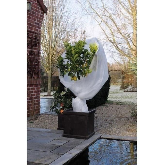 Nature Couverture en polaire d'hiver 30 g/m² Blanc 2x10 m