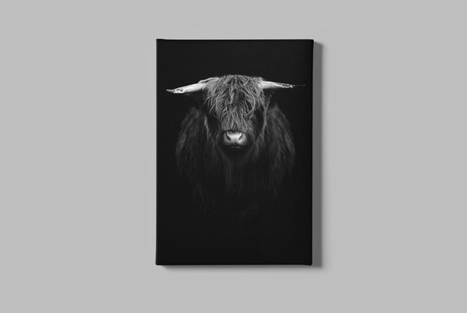 Canvas Schilderij - Schotse - Hooglander - 90x60x2 cm