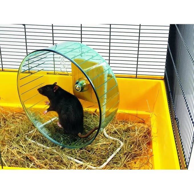 Hamsterwielen Nobby Pet Rolly Giant