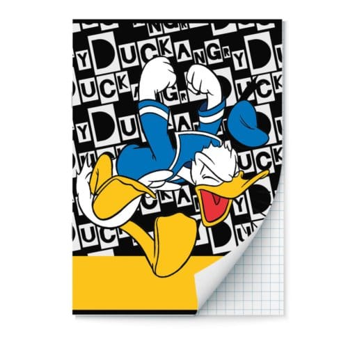 Donald duck schrift a4 ruit à 2 stuks