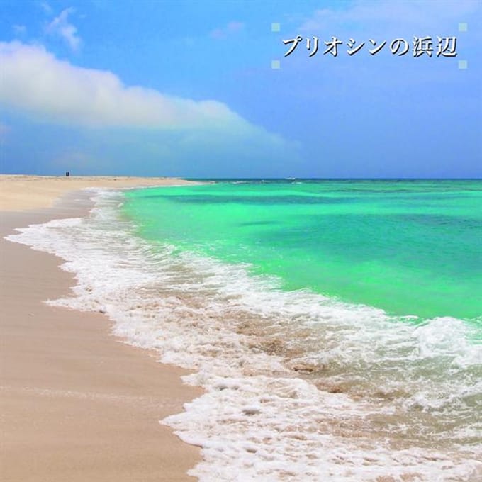 Beach of the Pliocene
