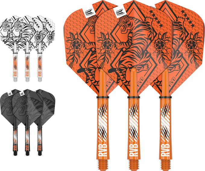 Target Raymond van Barneveld Ink Flight Shaft Kit - Dart Flights