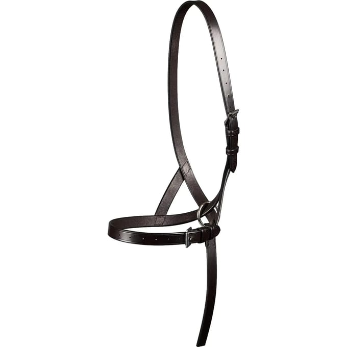 Halsband voor veulen 3/4 Premier Equine