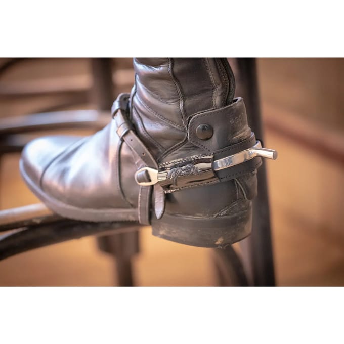 Paardenriem Pénélope Spurs