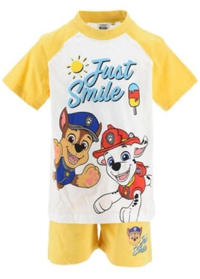 Paw Patrol Kledingset Geel Maat 110