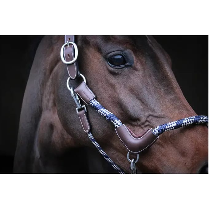 Reis halster voor paarden Jump'In Collection One