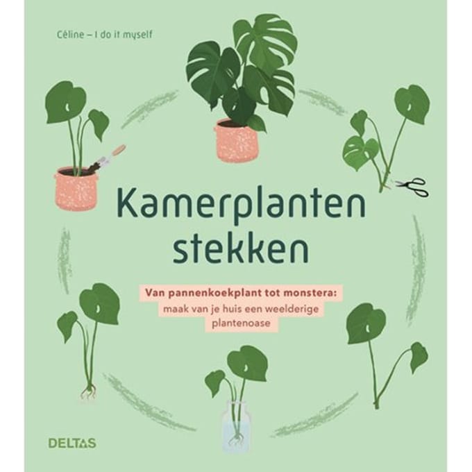 Kamerplanten Stekken - CELINE