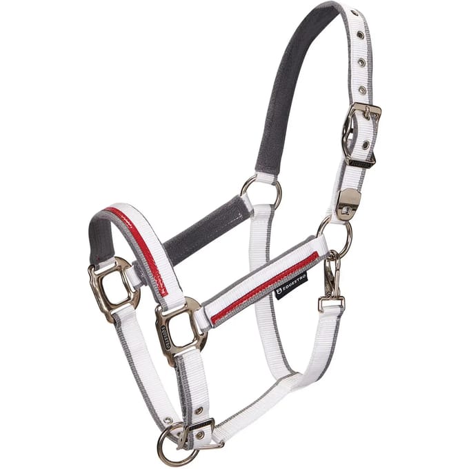 Nylon halster en longe voor paard in nylon Equestro