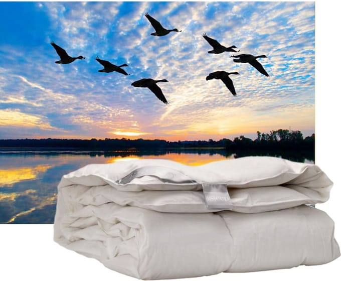 iSleep Donzen Dekbed - Enkel - 100% Dons - Warmteklasse 2 - Eendendons - Eenpersoons - 140x200 cm