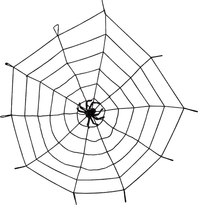 Boland - Spinnenweb met spin - Horror - Horror