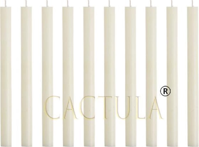 Cactula ivoren lange dinerkaarsen 30 cm diameter 2,1 | 10 stuks