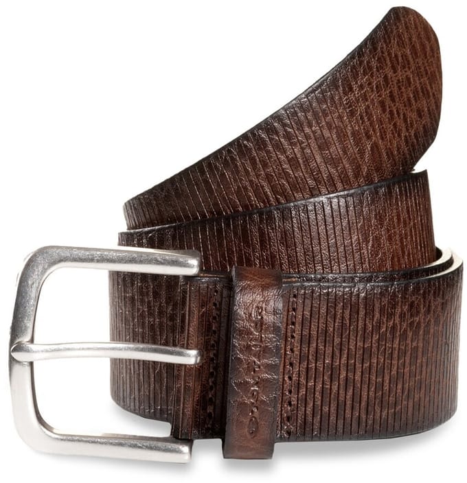 Tom Tailor - TTROY Leren riem met afgeronde gesp - Maat 100 - dark brown uni
