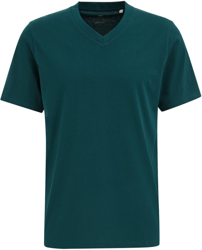 WE Fashion Heren regular fit T-shirt