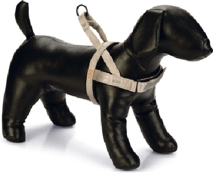 Beeztees Premium Parinca - Borsttuig - Licht grijs 52-62cm x 2,5cm