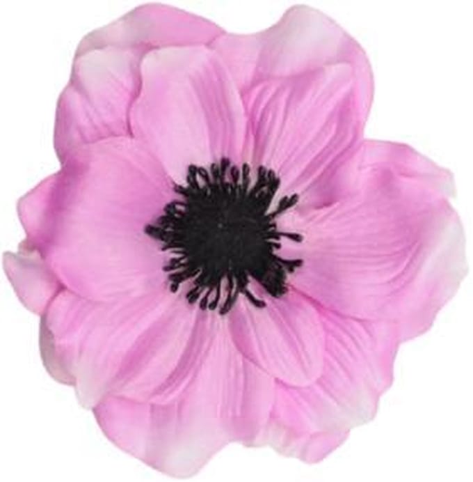 1 x Haarbloem Click Rose