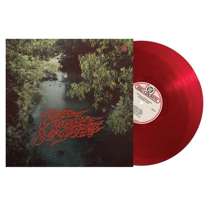 Surprise Chef - Education & Recreation (LP) (Coloured Vinyl) (Limited Edition)