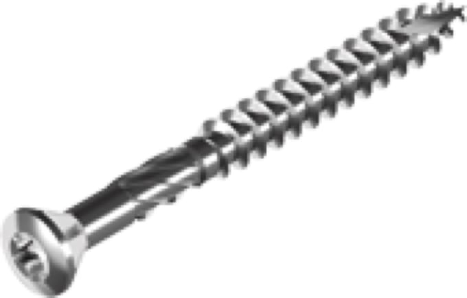 RVS vlonderschroef - vlonderschoeven Torx 5x80 mm 100 stuks