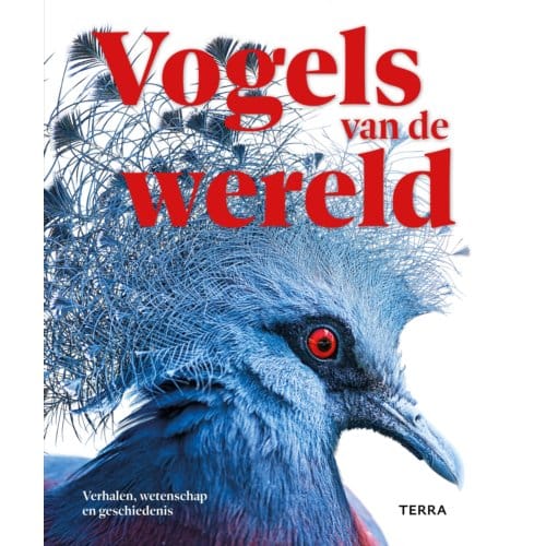Vogels Van De Wereld - Rob Hume
