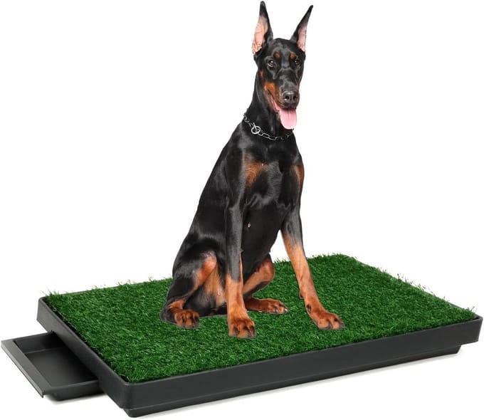 Hondentoilet kunstgras - Zindelijkheidstraining hond - Geurafstotend - Puppy training