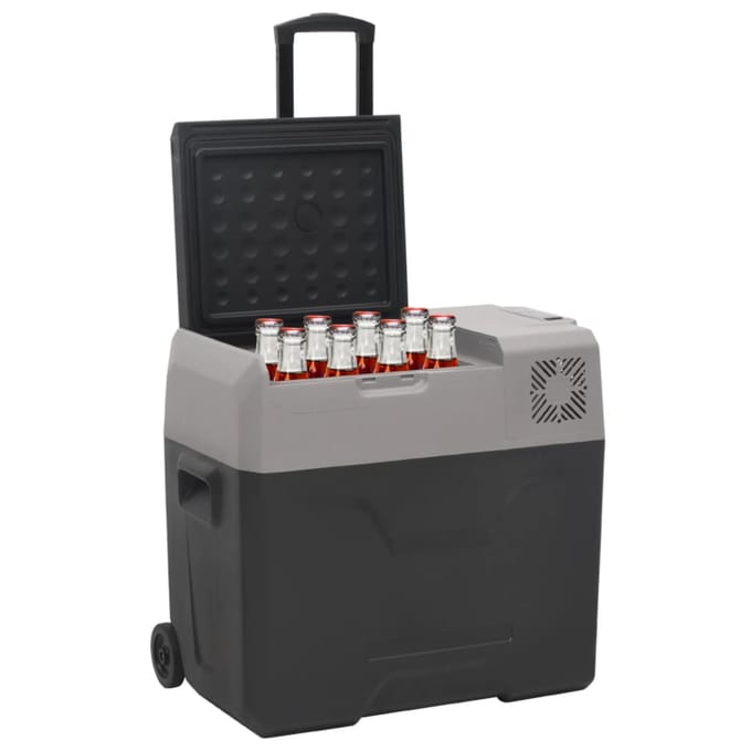 vidaXL - Koelbox - met - wielen - en - adapter - 30 - L - polypropeen - zwart - en - grijs