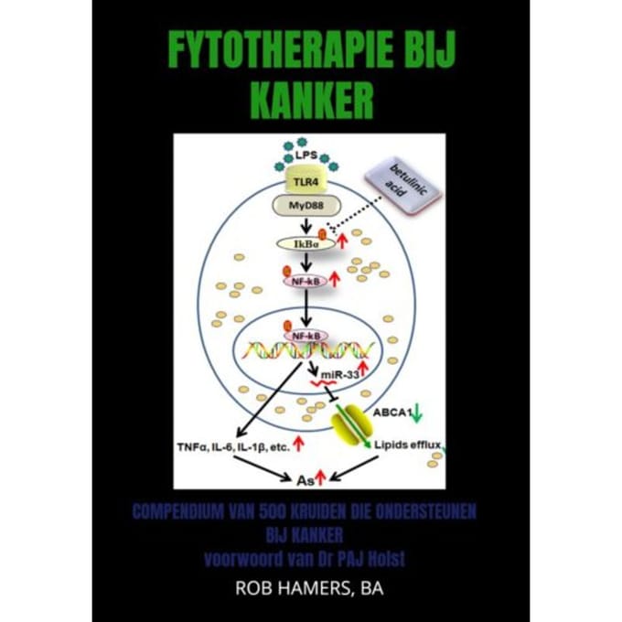 Fytotherapie Bij Kanker - Rob Hamers, BA