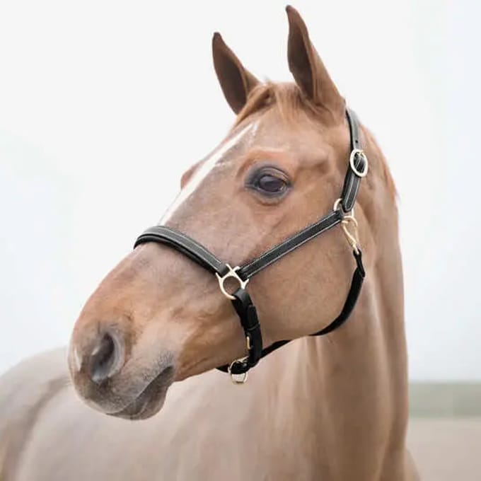 Paardenbellen Horze Largo