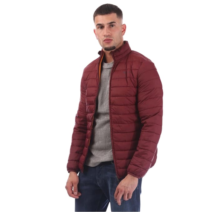 Aquascutum Heren Puffer Jas (Bordeaux)