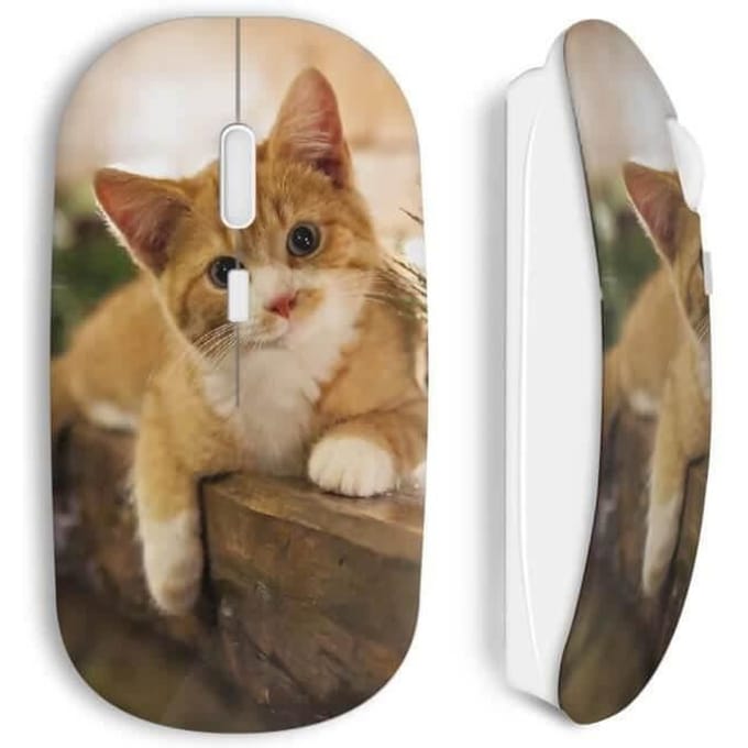 Souris Sans Fil Chat minion