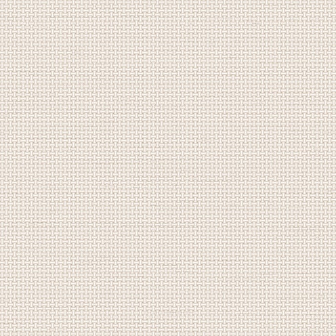 Dutch Wallcoverings - Tapestry Weave plain White - TP422601