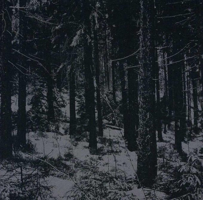 Abstrakter Wald