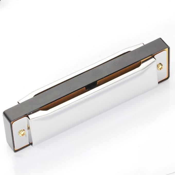 Bluesmondharmonica 10 gaten voor beginners white