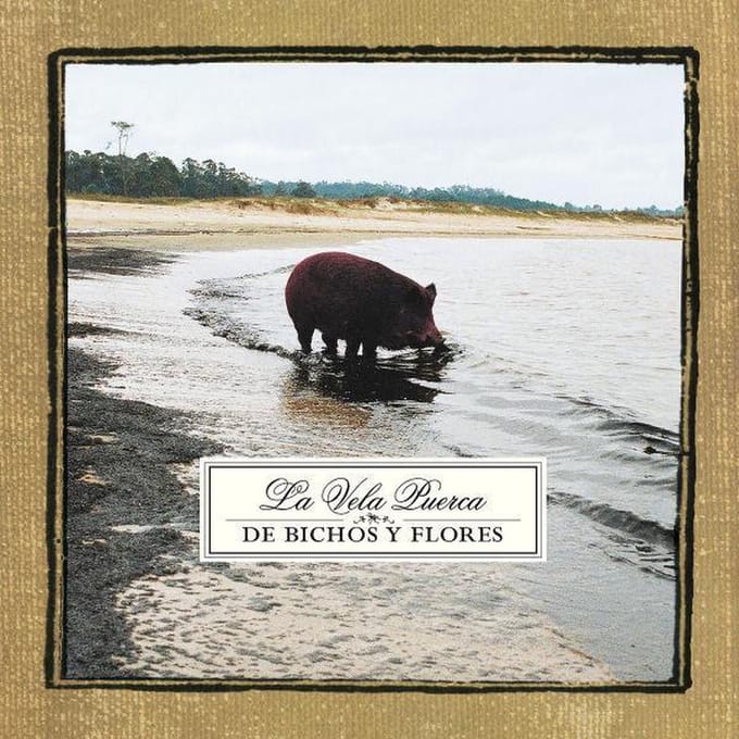 Bichos Y Flores