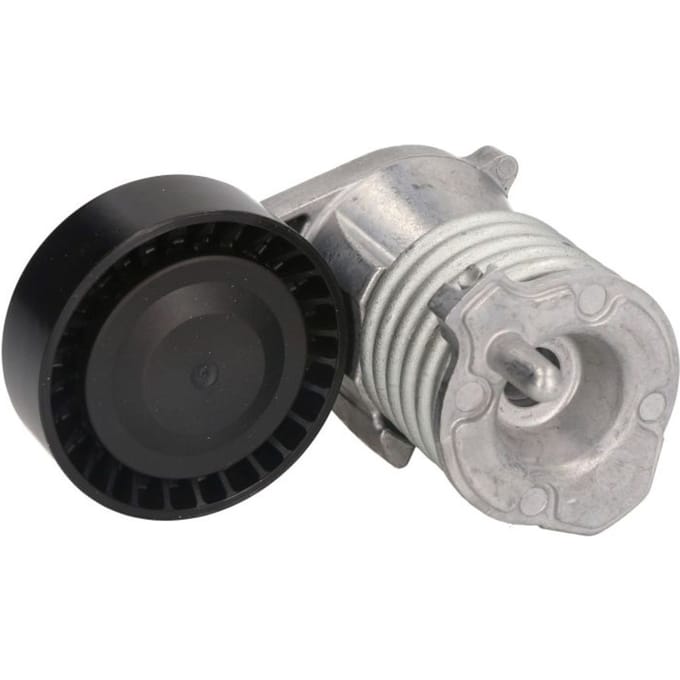 Schaeffler Ina Riemspanner, Poly V-riem INA 534 0029 10
