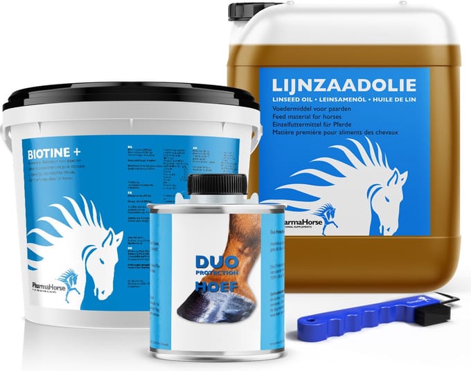 Hoef pakket paard groot