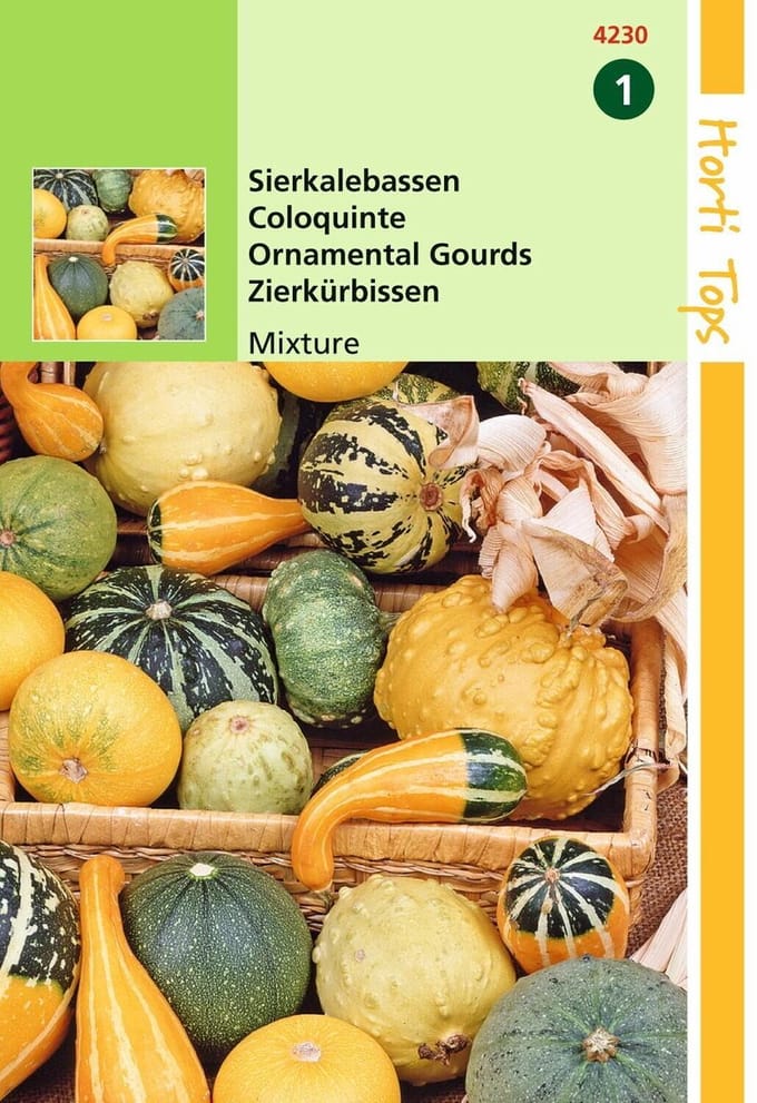 2 stuks Cucurbita Pepo, Sierkalebas Kleinvr. Gem.