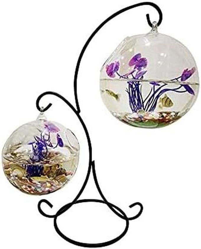 Glazen Viskom - Mini Aquarium - Thuisdecoratie - Stil Werkend - 33 cm - Transparant