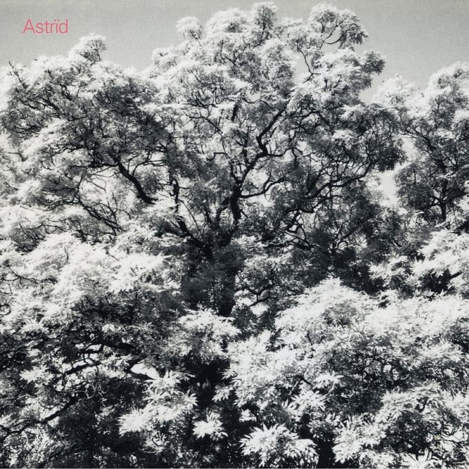 Astrid - Always Digging The Same Hole (CD)