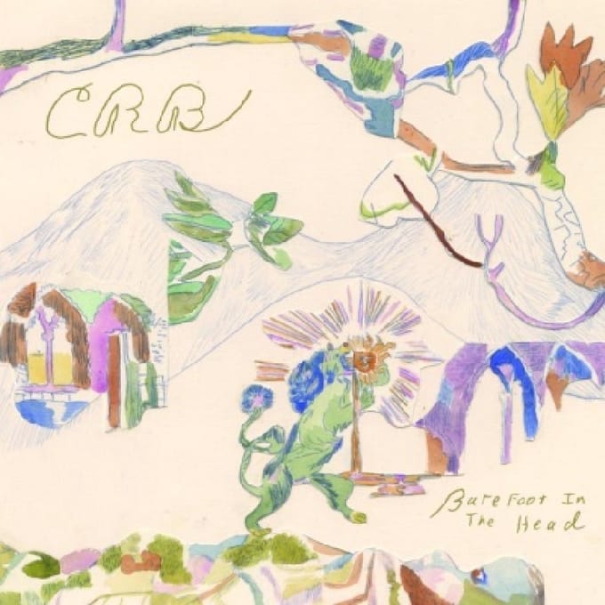 Barefoot In The Head - Chris Robinson -brotherhood-
