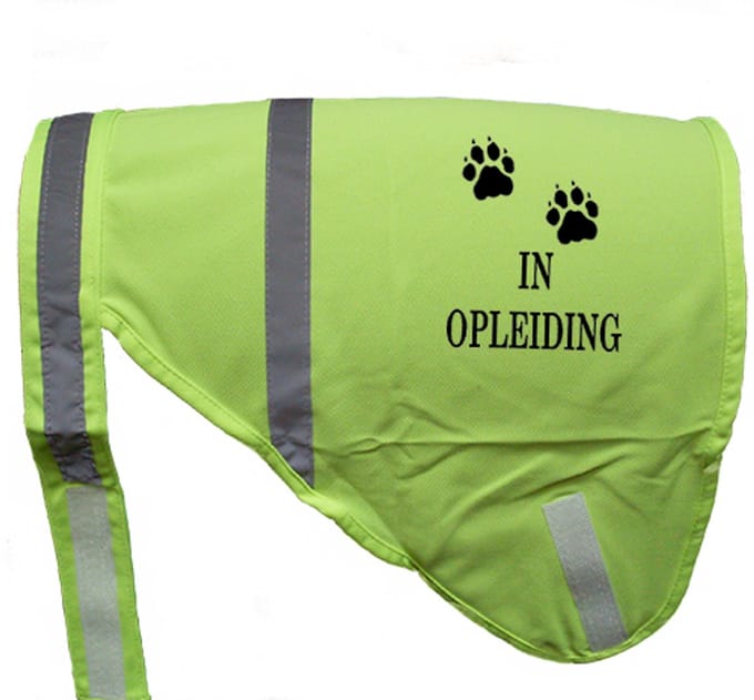 Hondenhesje "IN OPLEIDING", Maat L, Kleur Geel